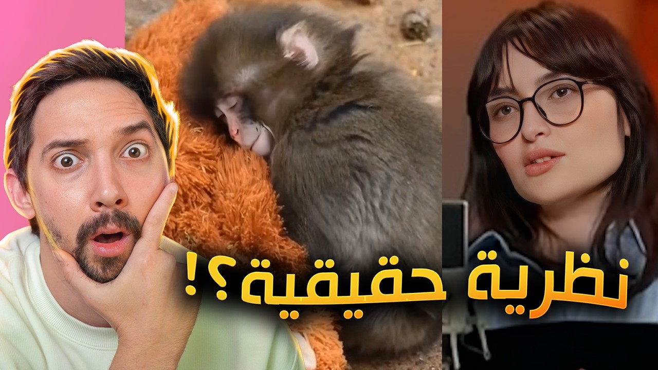 اصل الإنسان قرد..