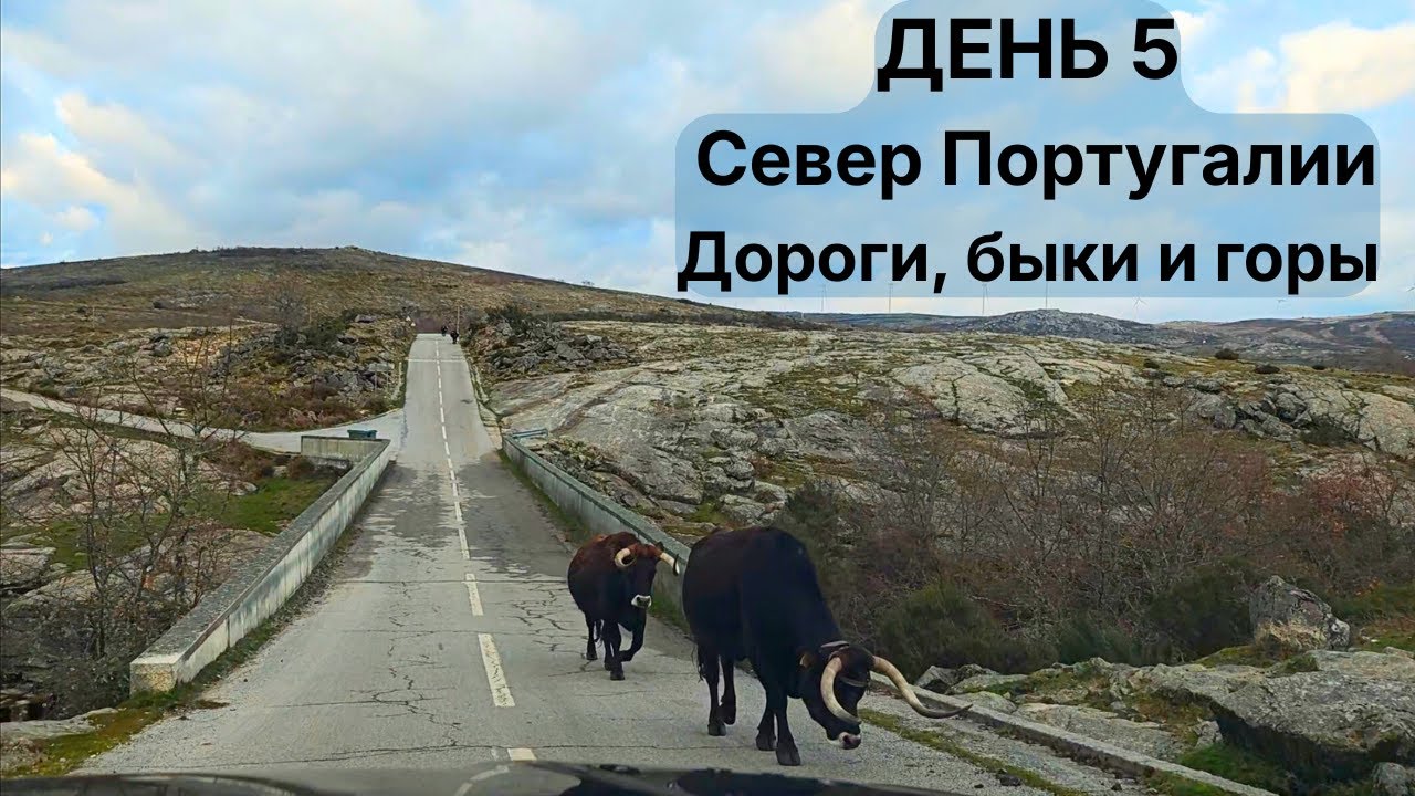 День 5 | От Миранделы до Gerês - тишина городов, длинные дороги и холодный финиш