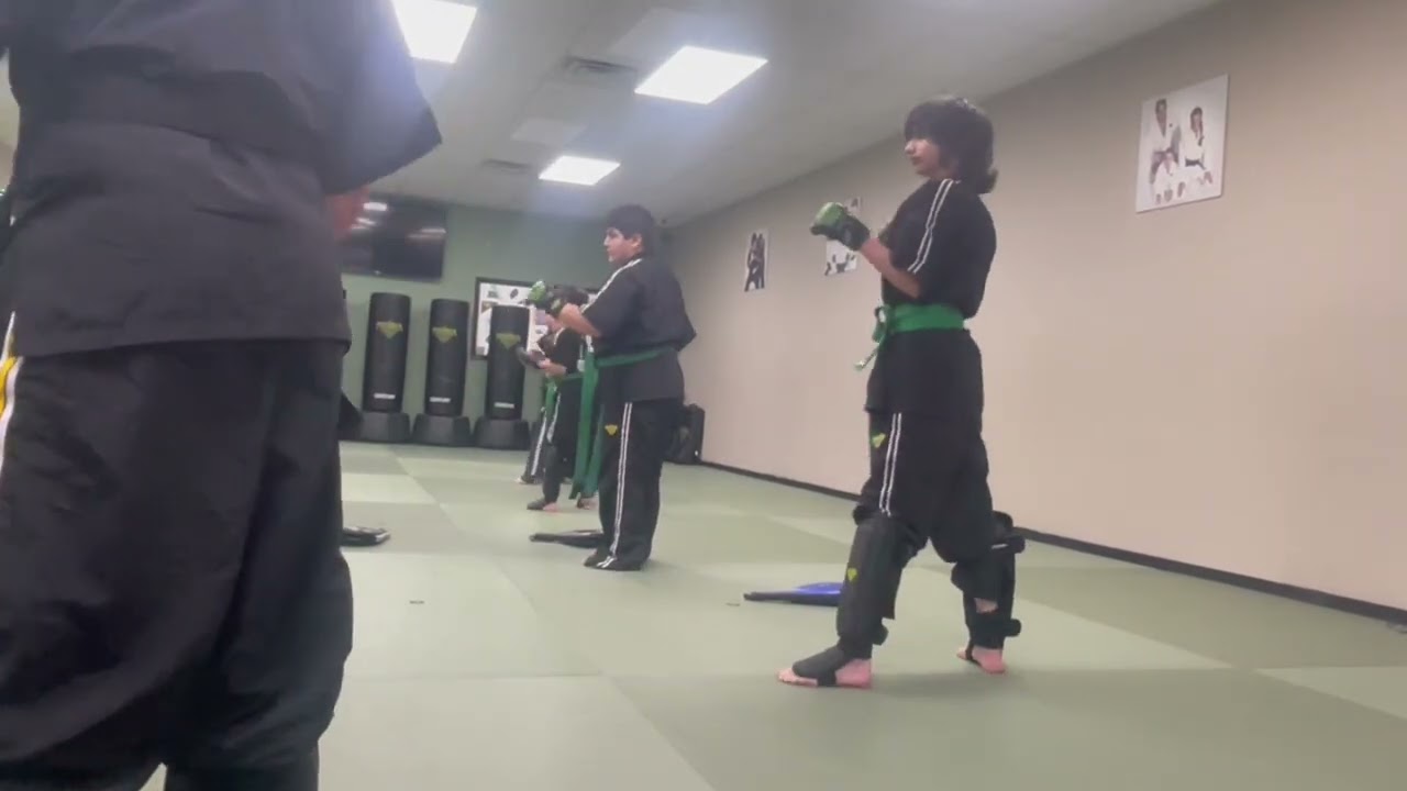 LEARN HOW TO DO A SPINNING HOOK KICK 