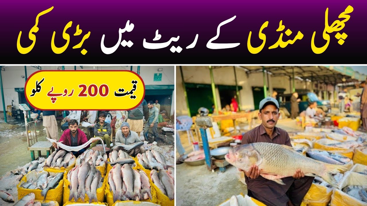 Fish Market Lahore | Machli Mandi Lahore | Fish Wholesale Market | Fish Market Rates Today 2025 