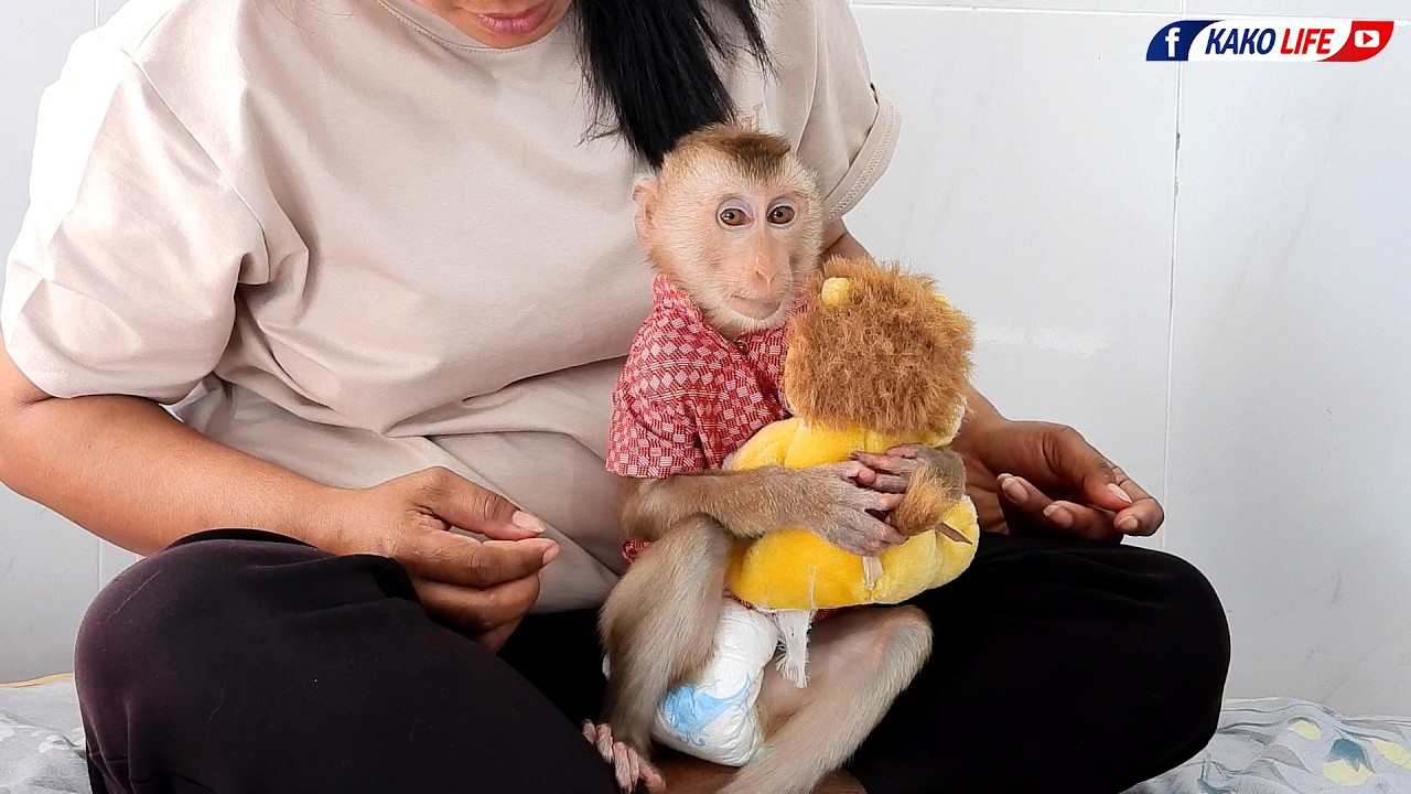Little Girl Valen Trying To Keep Toy From Grandma