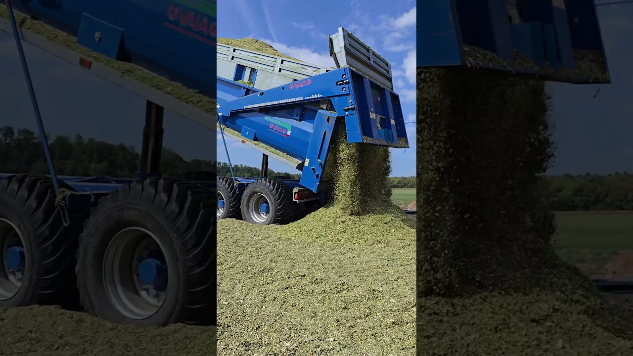 New Holland T6.160 + Vaia NL/120 S &ndash; Silage Transport in Action 🌽🚜 #newholland #silage #fyp
