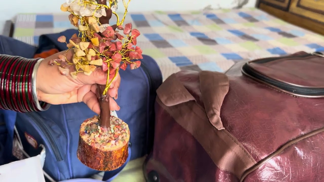 Ludhiana to Ambala Road Trip | Daily Vlog