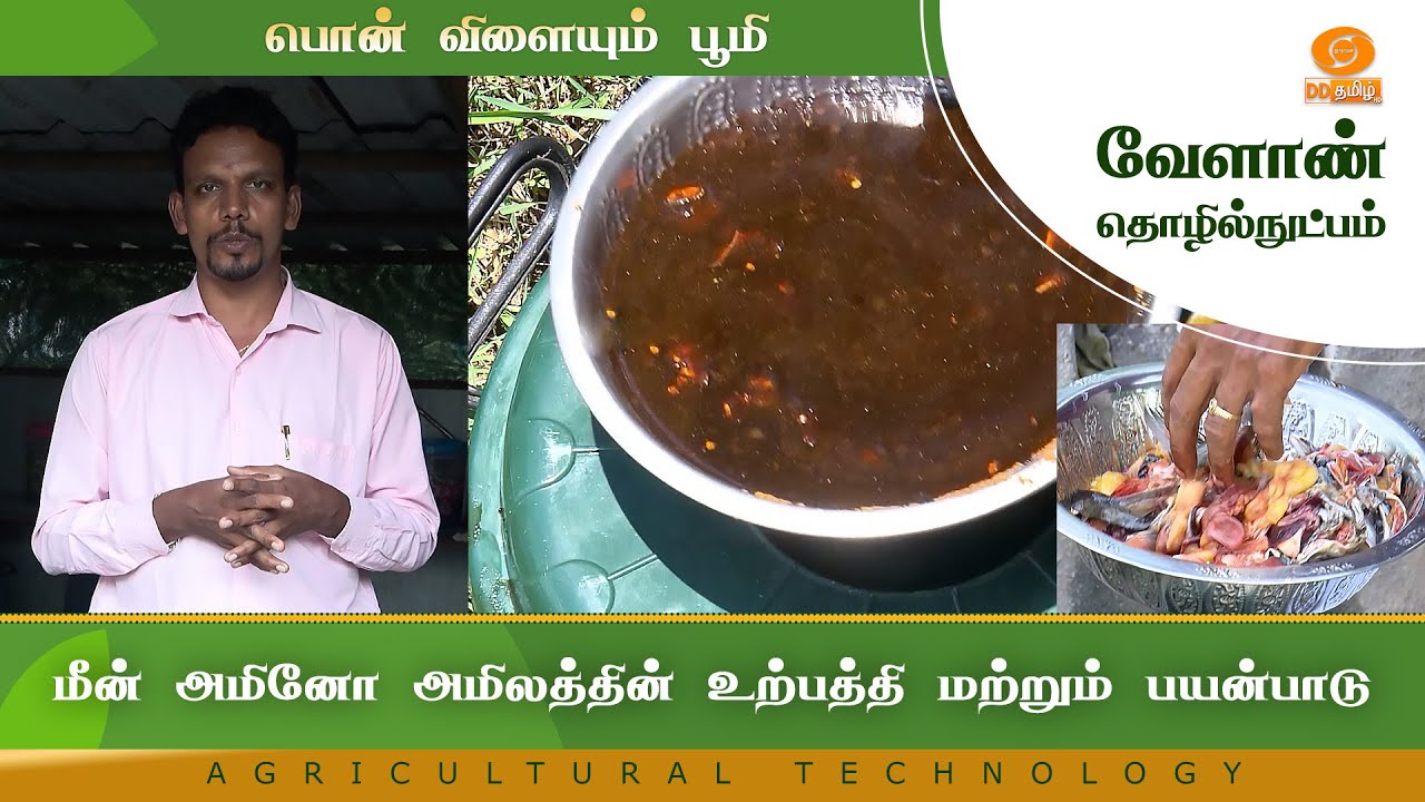 மீன் அமினோ அமிலத்தின் உற்பத்தி மற்றும் பயன்பாடு | Agriculture Technology