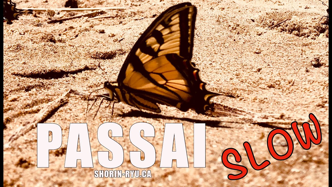 Matsubayashi-Ryu - Passai (slow)