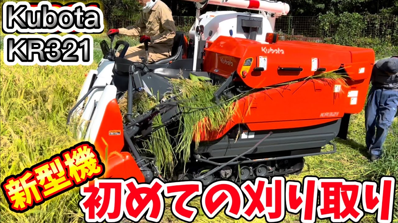 Kubota KR321クボタの3条21馬力コンバインで刈り取りSTAR