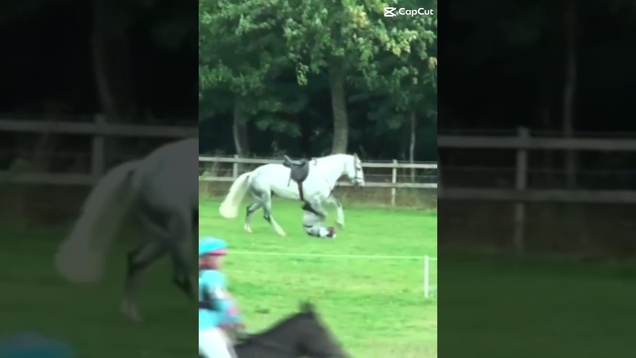 What&rsquo;s your biggest Fear? #equestrianjourney #horse #biggestfear