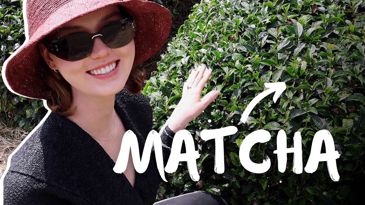 What makes Matcha special?? I traveled to Japan to find out..