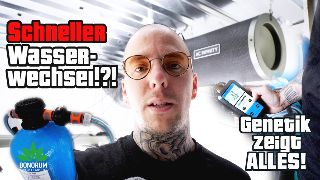 DWC-Update 🚰 Schneller Wasserwechsel mit WaterTrim? | Genetik zeigt den Unterschied!
