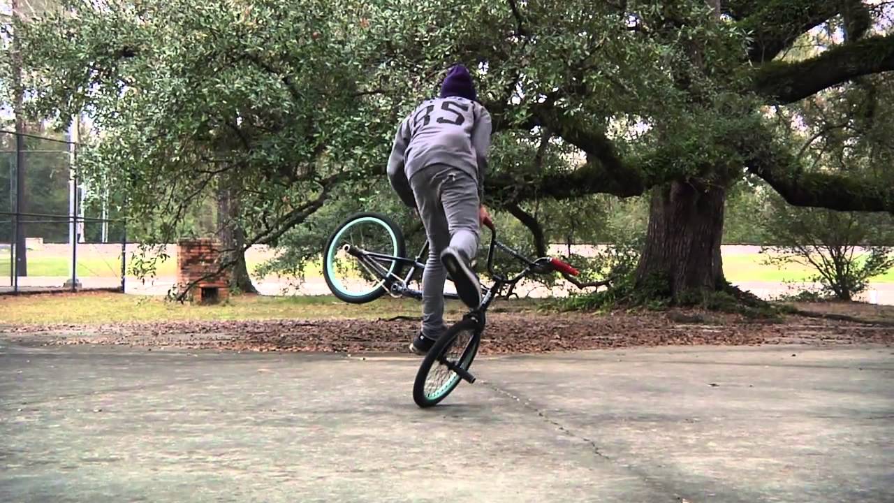 Terry Adams Dan's Comp Roll Call DVD BMX