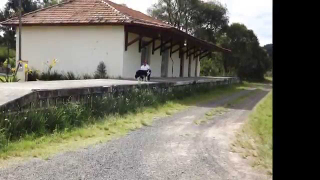 ESTAÇÃO FERROVIARIA DE PAULO FRONTIN PR