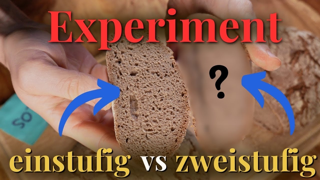 Experiment: Ist mehrstufiger Roggensauerteig die M&uuml;he wert? Wie gut ist die einstufige F&uuml;hrung?