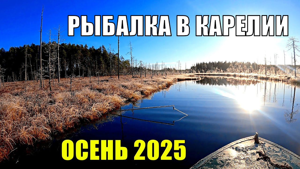 Два дня на таёжном озере. Рыбалка на самоловки и спиннинг 2025. Сказочная Карелия