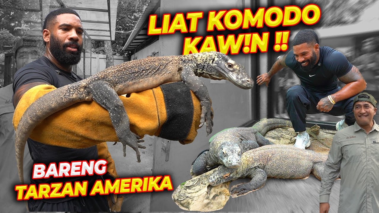 TARZAN AMERIKA GAK BERANI PAKE TANGAN KOSONG KALO SOAL INI !!