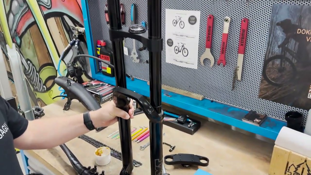 Custom build-up - Norco Aurum HSP