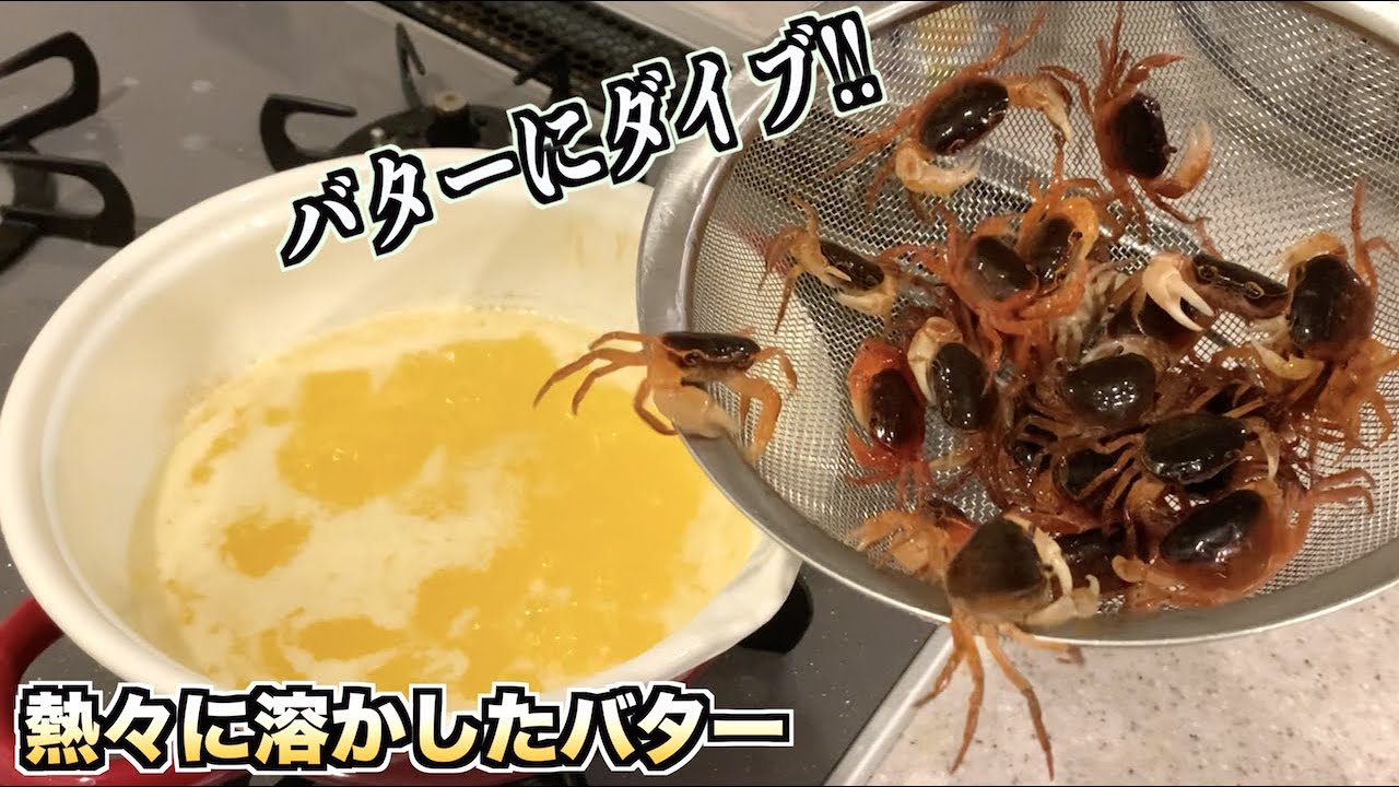 熱々に熱したバターに大量のサワガニを流し込むと。。。