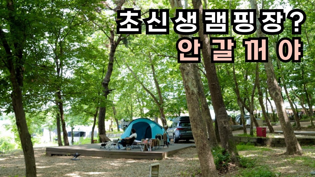 한여름에도 타프가 필요없는 숲속캠핑⛺가오픈 초신생캠핑장에서 빤스런한 썰 푼다~🐶애견동반캠핑ㅣ하남 숲에정원
