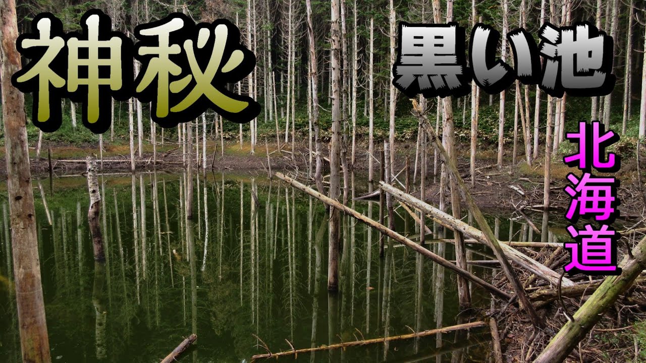 廃道脇の【黒い池】は神秘的&hellip; 日高ツーリング Ride on GSX1300R  隼 北海道#31‐2020