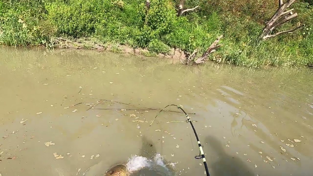 18+ MOJA SPINNINGOWA RYBA ŻYCIA. WIELKI SUM 234cm NA WOBLER Z  Team szmaciarze I Bonito  ExPADycja22
