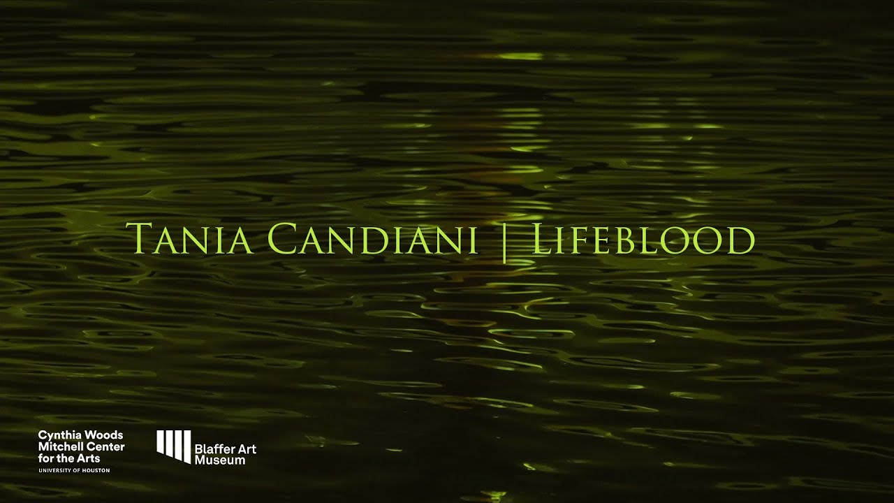 Tania Candiani | Lifeblood : Extended Interview