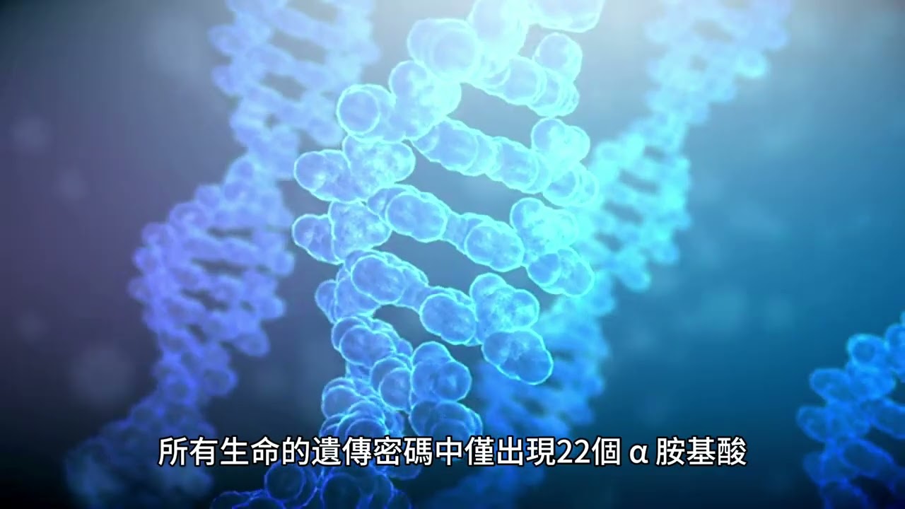 胺基酸是同時含有氨基和羧酸官能基的有機化合物
