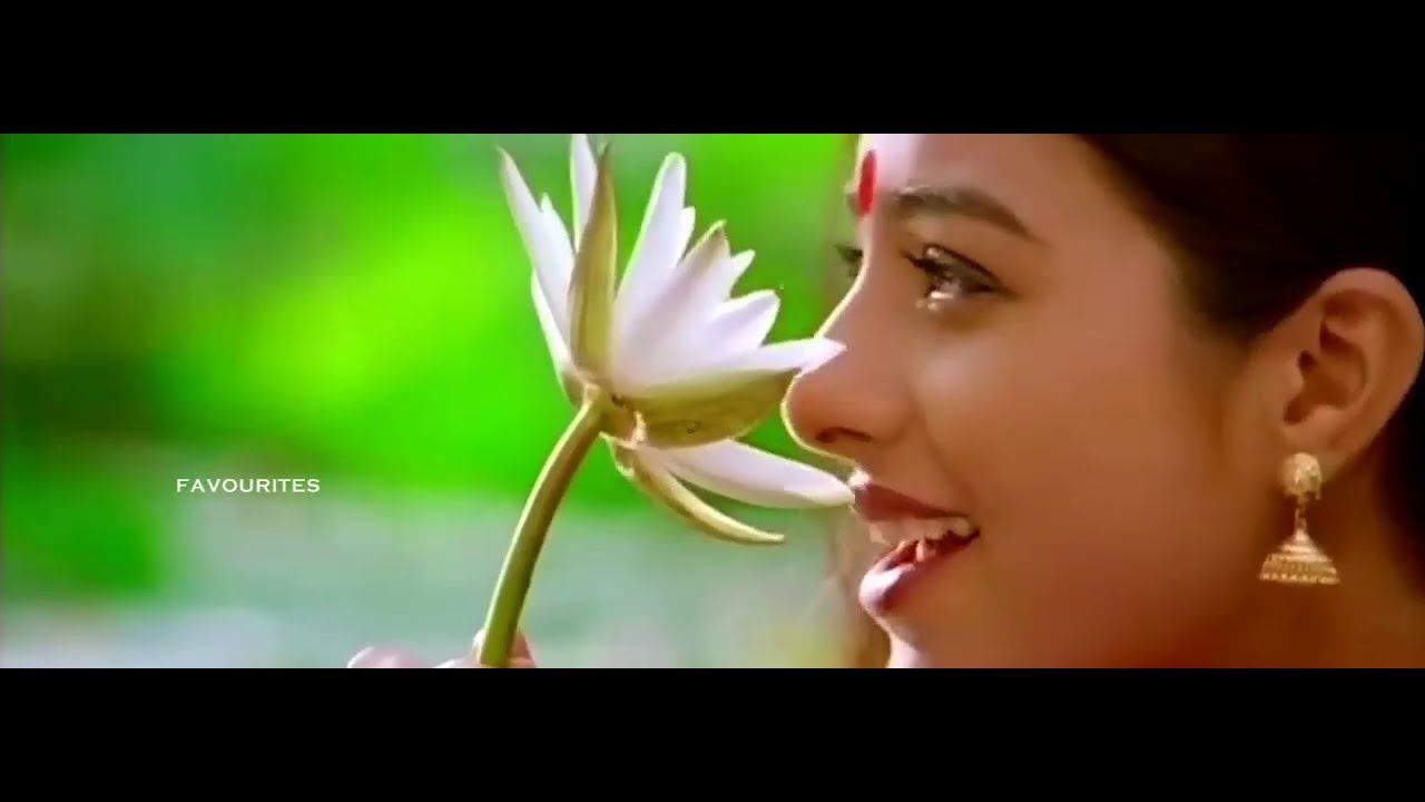 Maarikkoodinnullil - Kalapani Malayalam Movie - Mohanlal, Tabu