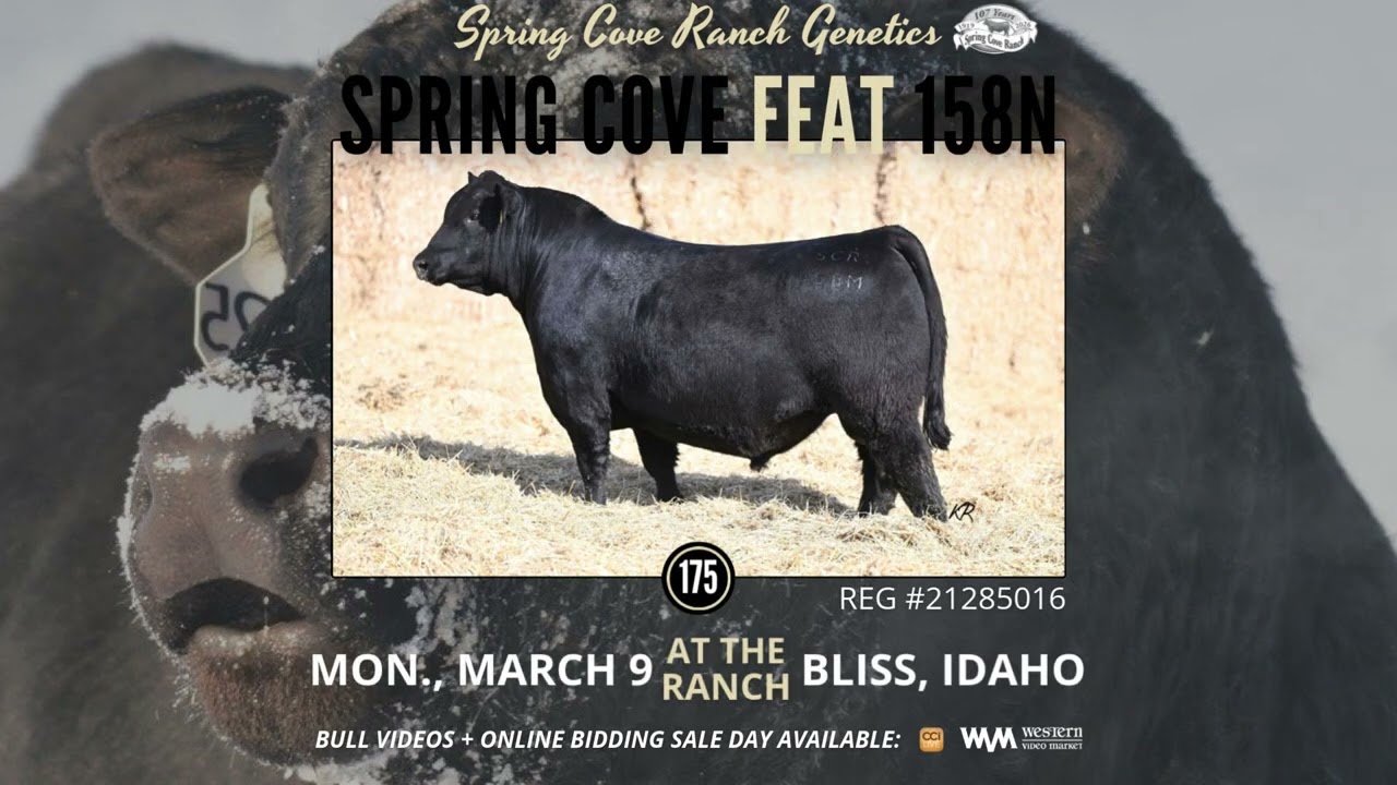 Spring Cove Ranch | March 9, 2026