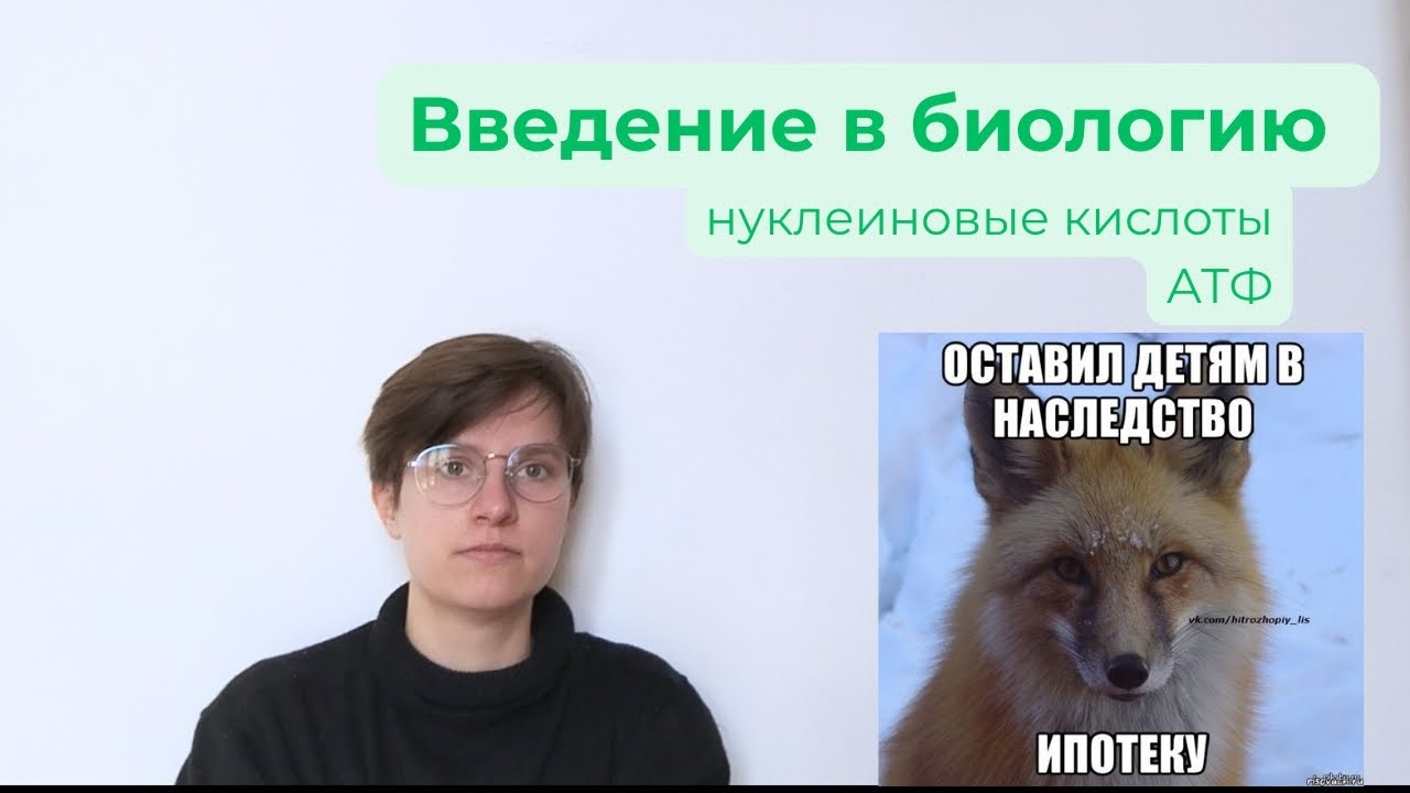 Строение и функции ДНК, РНК, АТФ