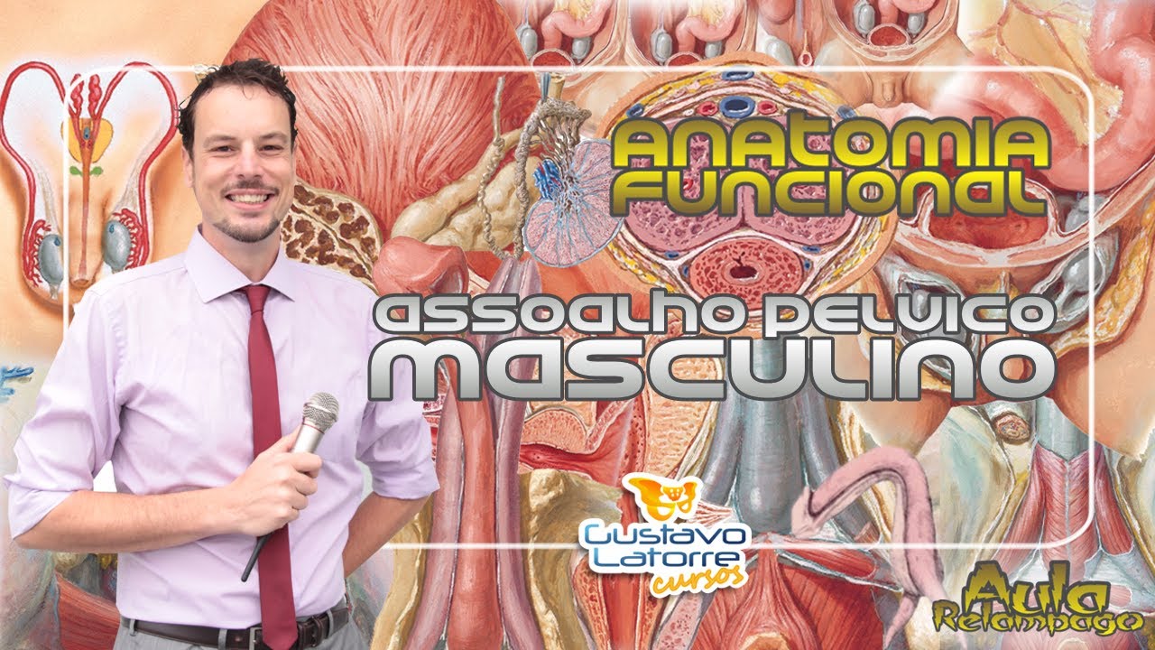 Série1/Aula5 - Anatomia Funcional do Assoalho Pélvico Masculino