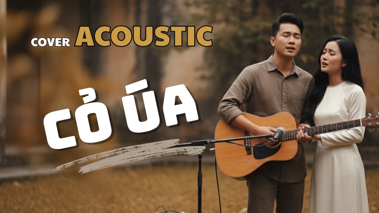 Acoustic | CỎ ÚA - Lam Phương | Giai điệu mộc mạc dành riêng cho những tâm hồn dang dở