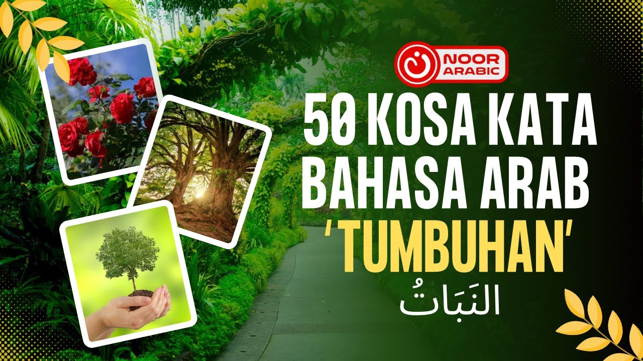 50 Kosa Kata Bahasa Arab Seputar Tumbuhan Untuk Pemula