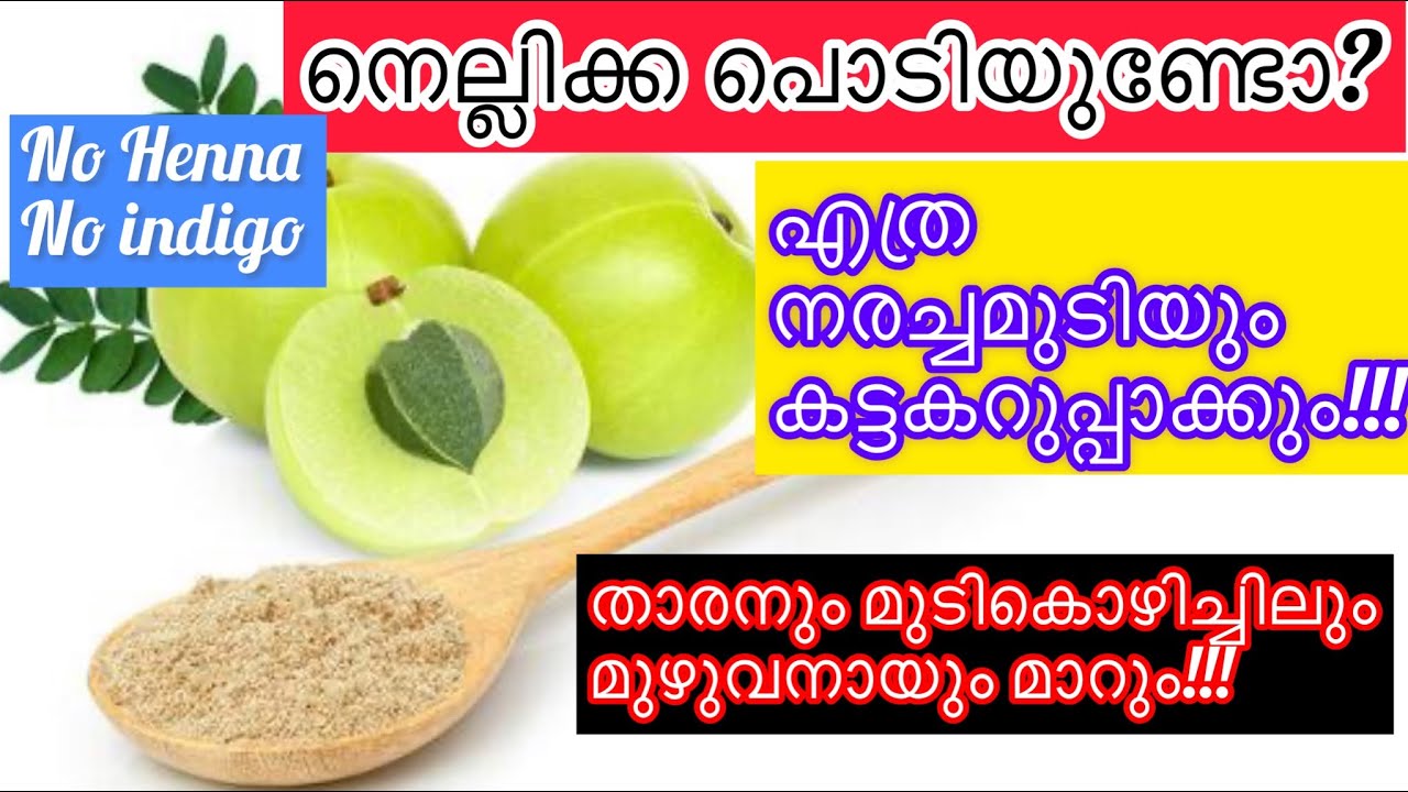 |നെല്ലിക്കാപൊടികൊണ്ട്  നരച്ചമുടി എന്നന്നേയ്ക്കുമായി കട്ടകറുപ്പാക്കാം|Homemade hair dye|Natural dye