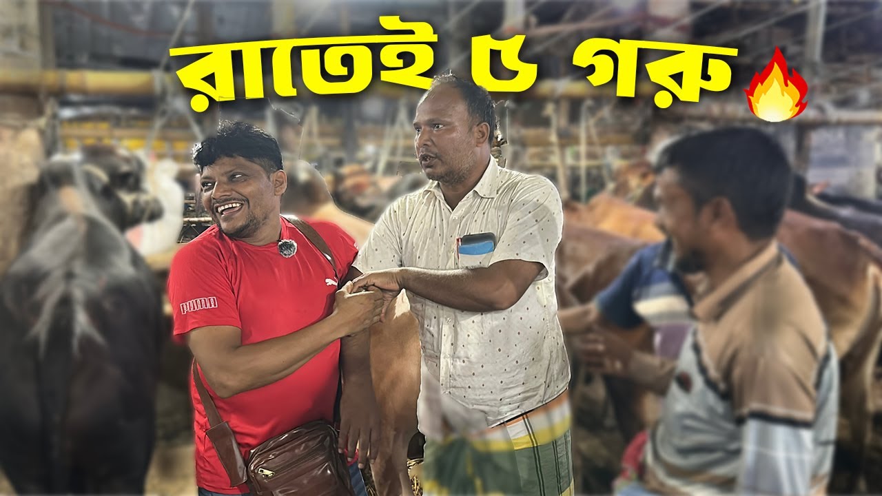 রাতেই ৫ গরু কিনলেন আকরাম ভাই! 😱 গাবতলী হাটে টানা দরদাম চললো ঘণ্টা ধরে | Gabtoli Haat 20 Oct 2025 |