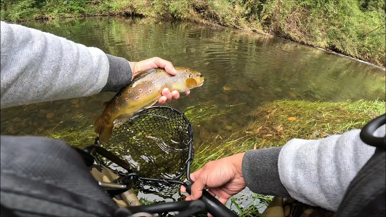 TREMENDA JORNADA DE PESCA CON AMIGOS - PESCA DE TRUCHAS, SUR DE CHILE