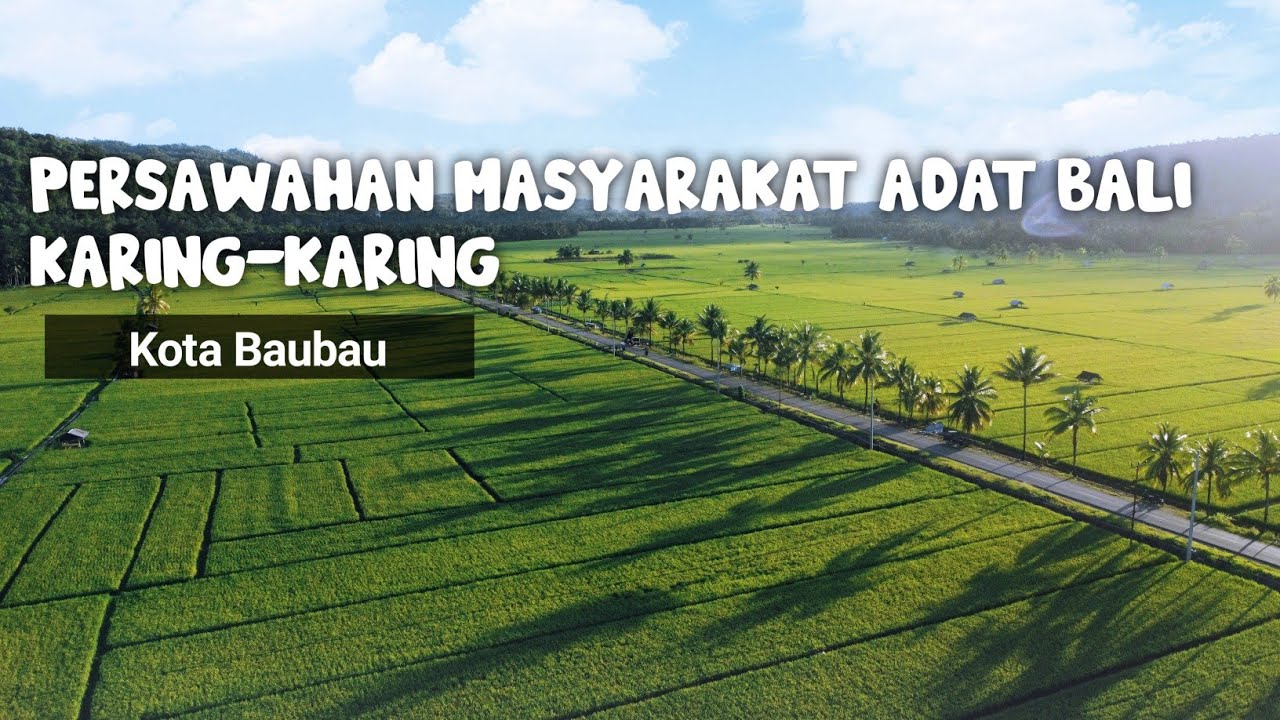 Persawahan Masyarakat Adat Bali di Tanah Buton - Luvtrip #wisataalam #baubau #pariwisata