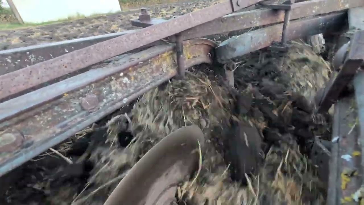 Plowing with Farmall H and Little Genius 3x14 bottom plow