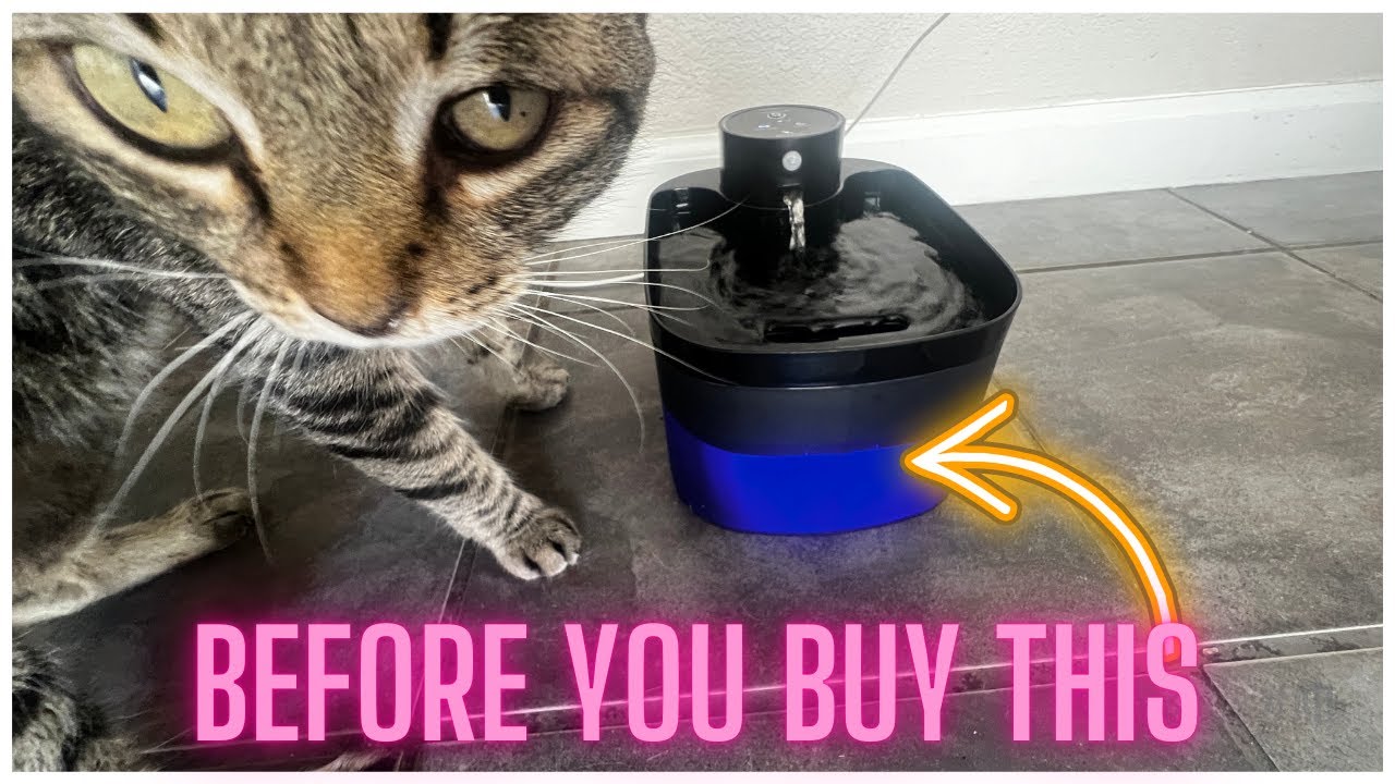 Battery Operated Cat Water Fountain with Motion Sensor &ndash; Easy Hydration for Cats