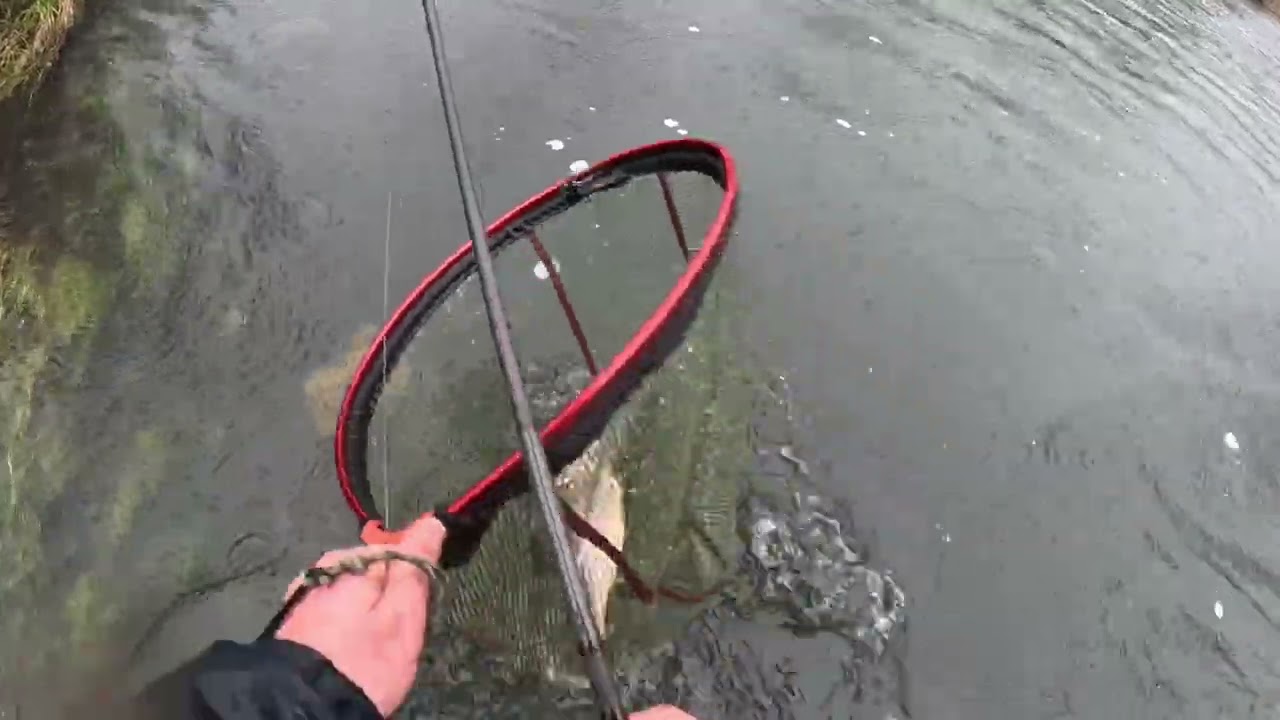 Rainy day streamer fishing for trout