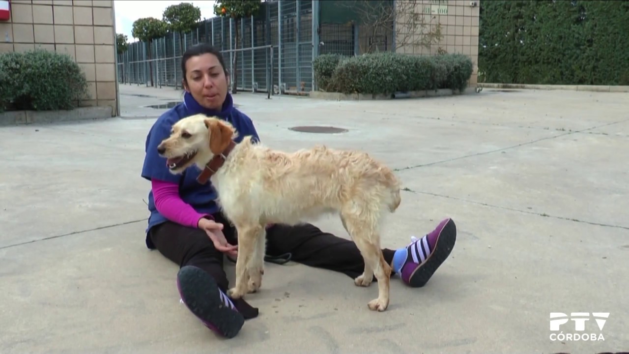 Visita al Centro de Control Animal de Sadeco