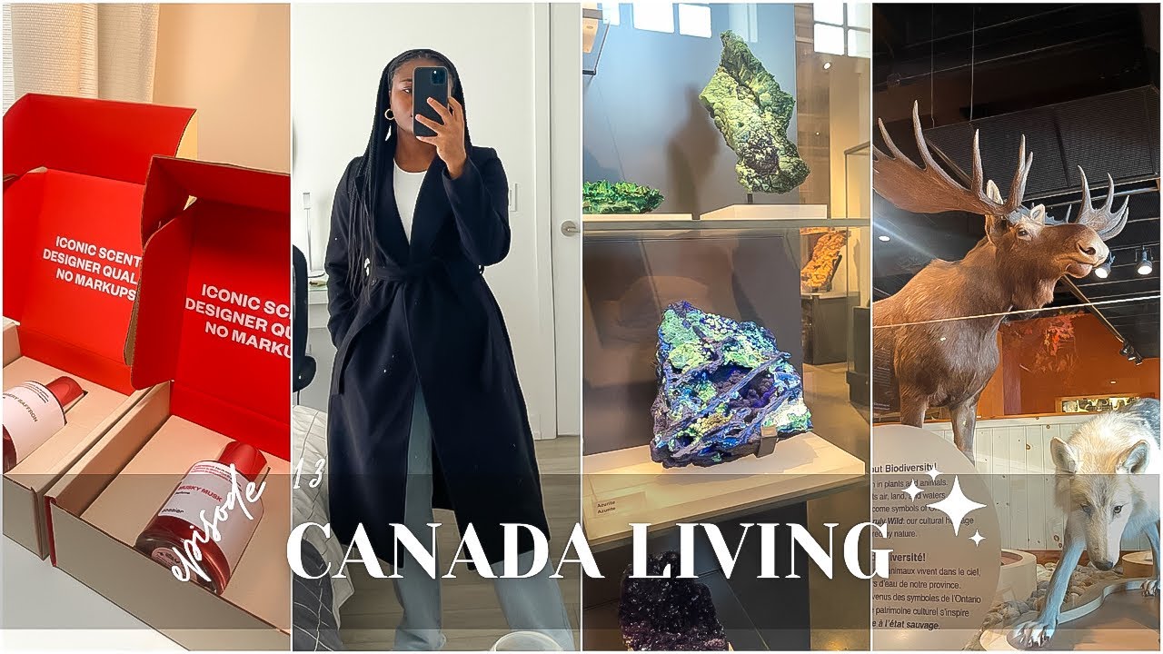 Canada Living #13 - Finally exploring Toronto + Black Friday Deals ft Dossier + Productive Habits