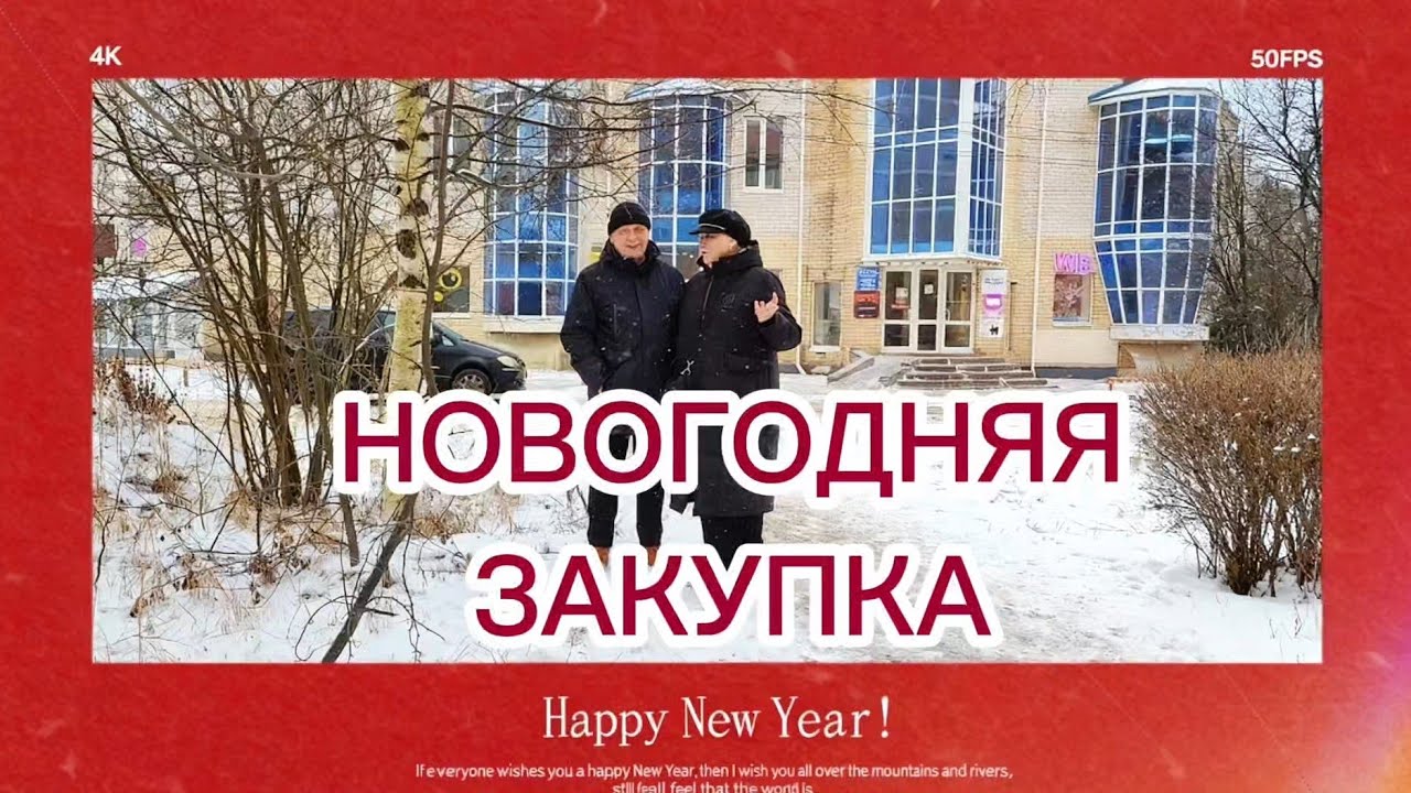 НОВОГОДНЯЯ ЗАКУПКА ПЕНСИОНЕРОВ. УТРЕННИК У ВАСИЛИСЫ В САДИКЕ.