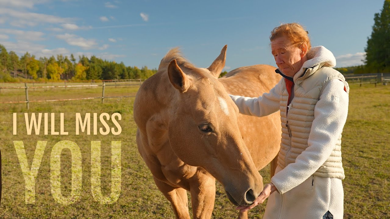 Saying goodbye to my horses