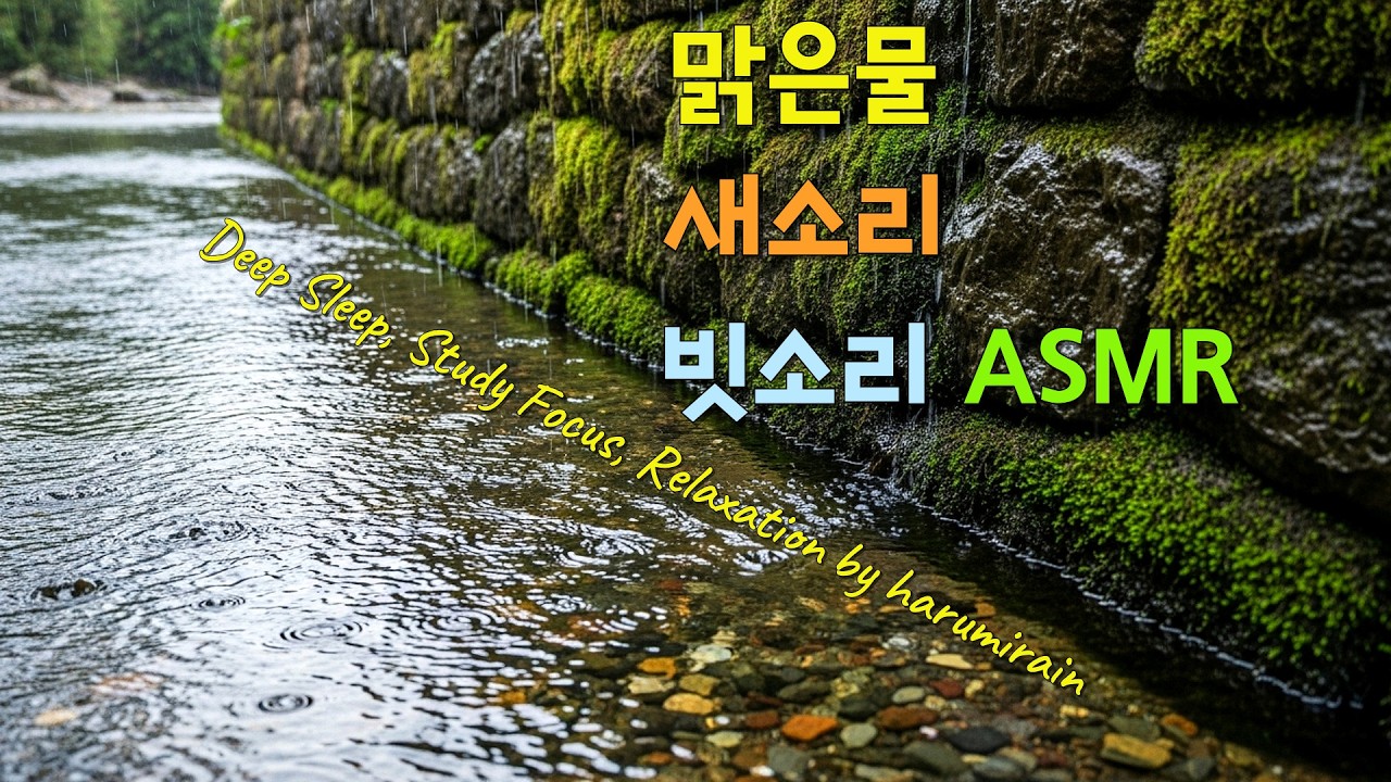 🐦 맑은 시냇물 + 새소리 + 돌벽  빗소리 ASMR | 깊은 숙면, 자연 몰입, 집중 | Korean Stream Rain & Birds