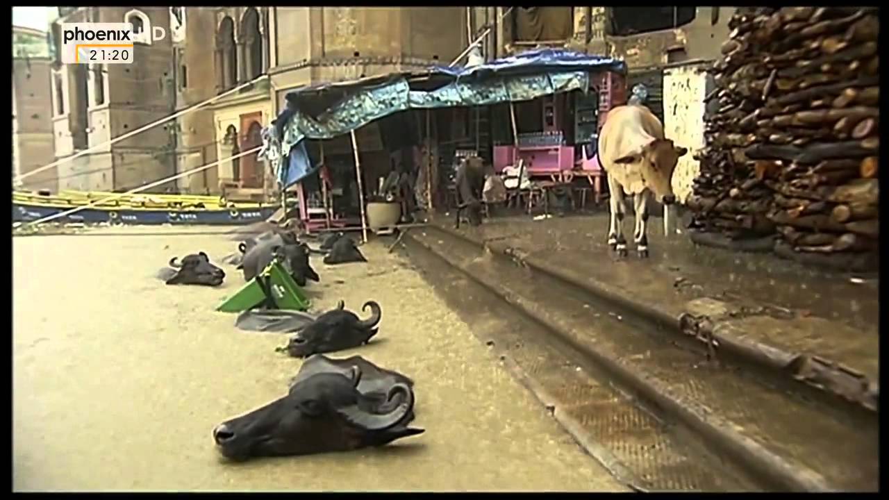 Der heilige Ganges Indiens Quell des Lebens Doku