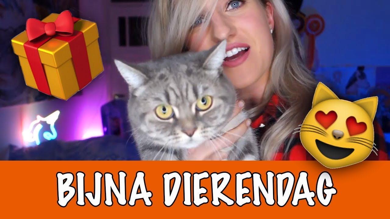 BRITT SHOPT VOOR DE KATTEN| DierenpraatTV