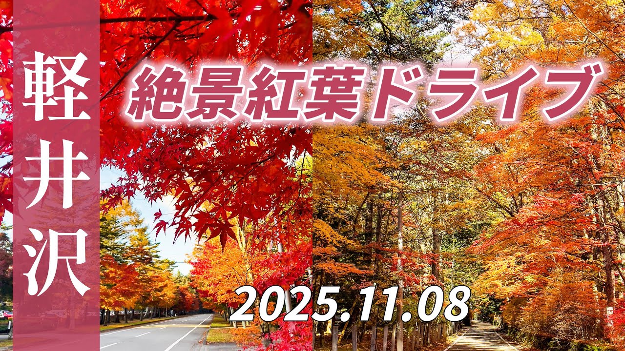 【軽井沢絶景紅葉ドライブ】”自然が織りなす絶景紅葉ロード”