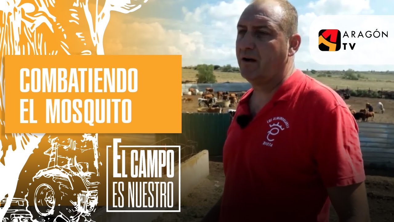 Por Biota siguen combatiendo el mosquito contra la enfermedad hemorrágica epizoótica