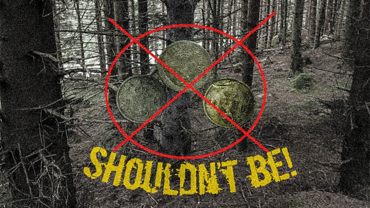 The Coins That Shouldn't Be There - Metal Detecting In Norway