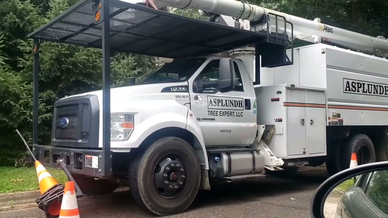 Why we refuse utility company tree trimming