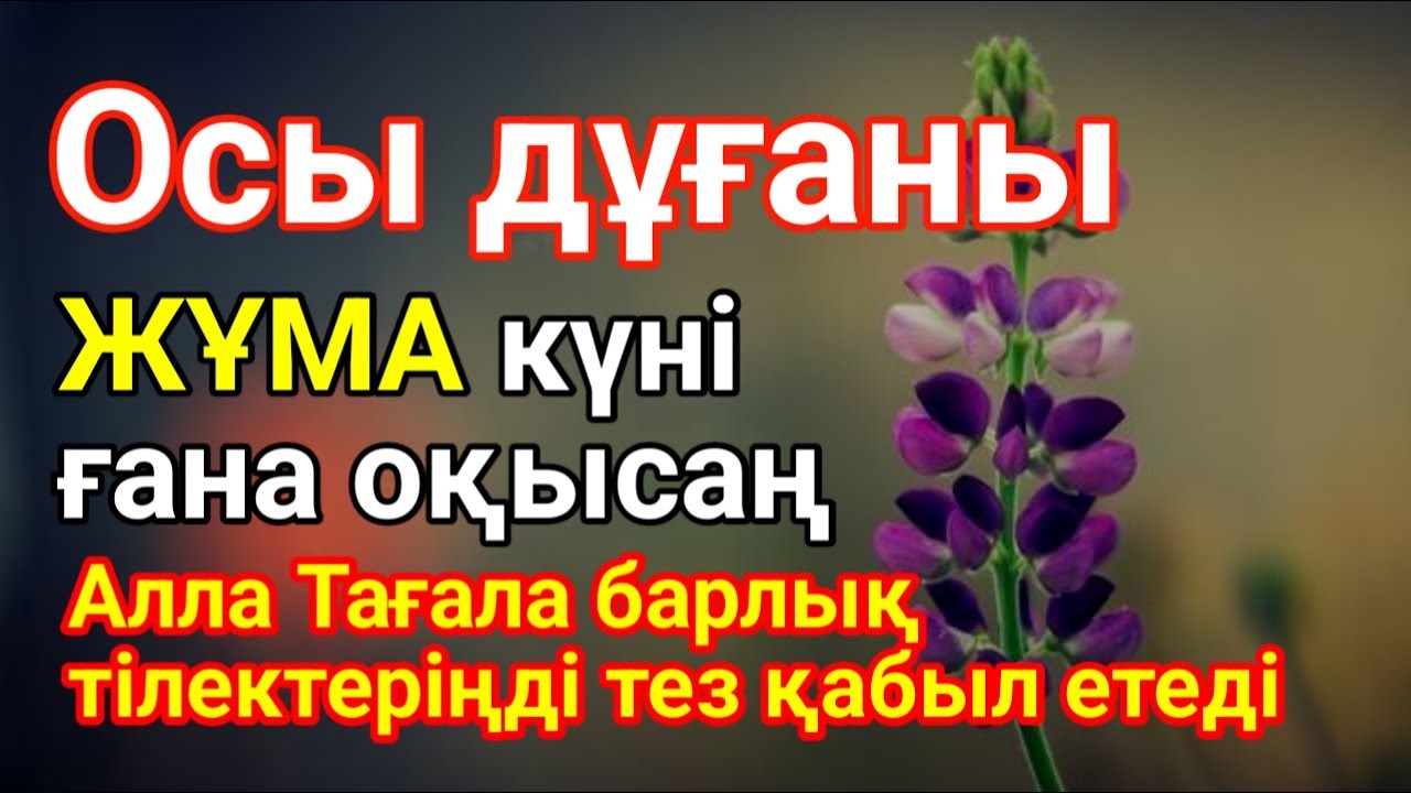ЖҰМА КҮНІ ЕҢ ҚҰДІРЕТТІ ДҰҒА! 🕌👍 Барлық тілектер орындалады! БАЙЛЫҚ, ПАЙДА ЖӘНЕ БАҚЫТ🌙 #уағыфз